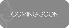 Banner 4